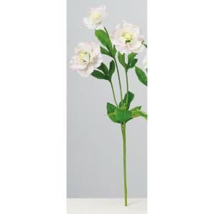 ASCA アスカ ローズX 3 A-34667-001 P 入数 24