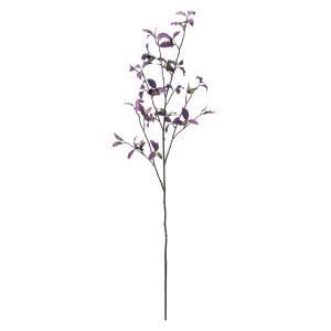 ASCA アスカ ピットスポラムベリースプレー A-47996-007 G 入数 6