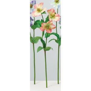 ASCA アスカ ローズX 3 A-34661-014 A 入数 12