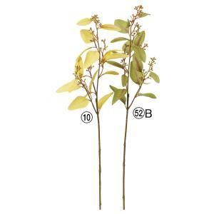 ASCA アスカ ユーカリシードスプレー A-44290-052 B 入数 24