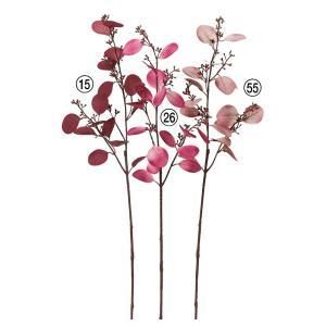 ASCA アスカ ユーカリシードスプレー A-44289-055 入数 24