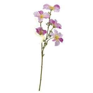 ASCA アスカ ノウゼンカズラX 5 A-34112-026 入数 12