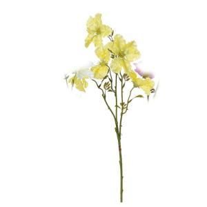 ASCA アスカ ノウゼンカズラX 5 A-34112-010 入数 12