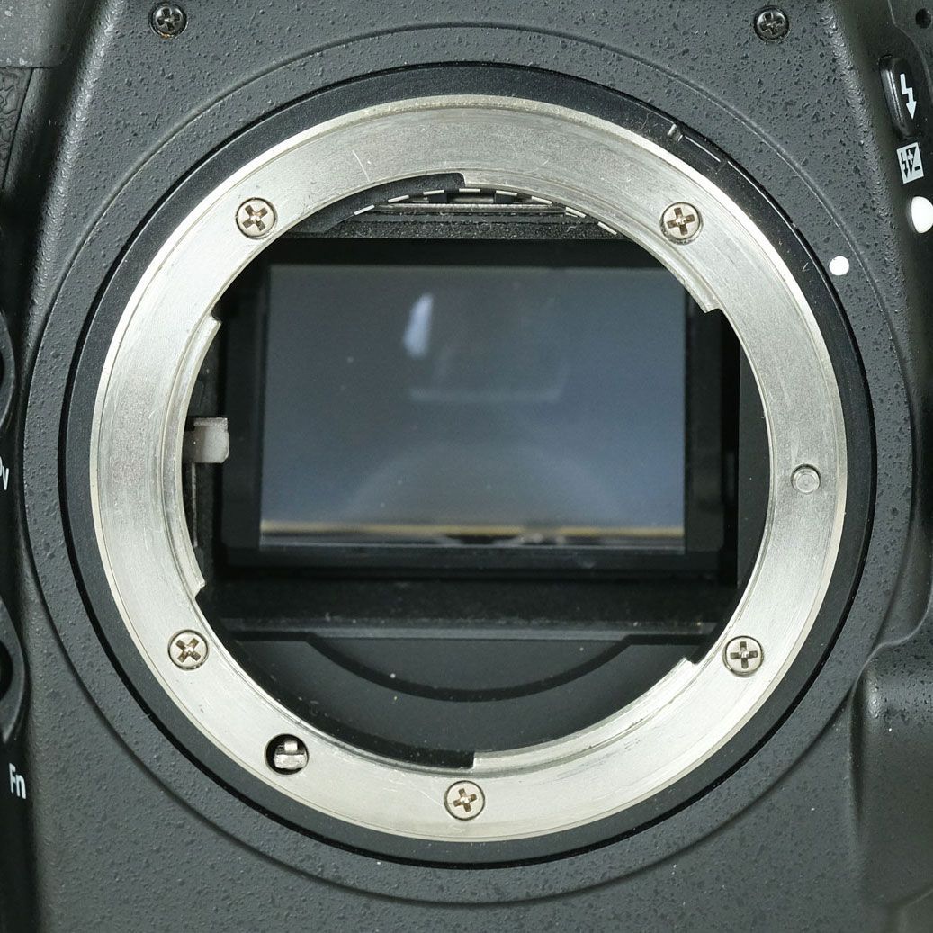 シャッター数16 692回｜バッテリー