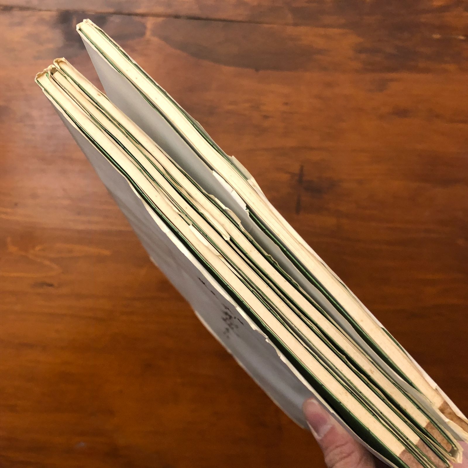 挿花百規集 全 春夏秋冬之部 4冊セット 池坊専定撰・呉景文/横山清輝写