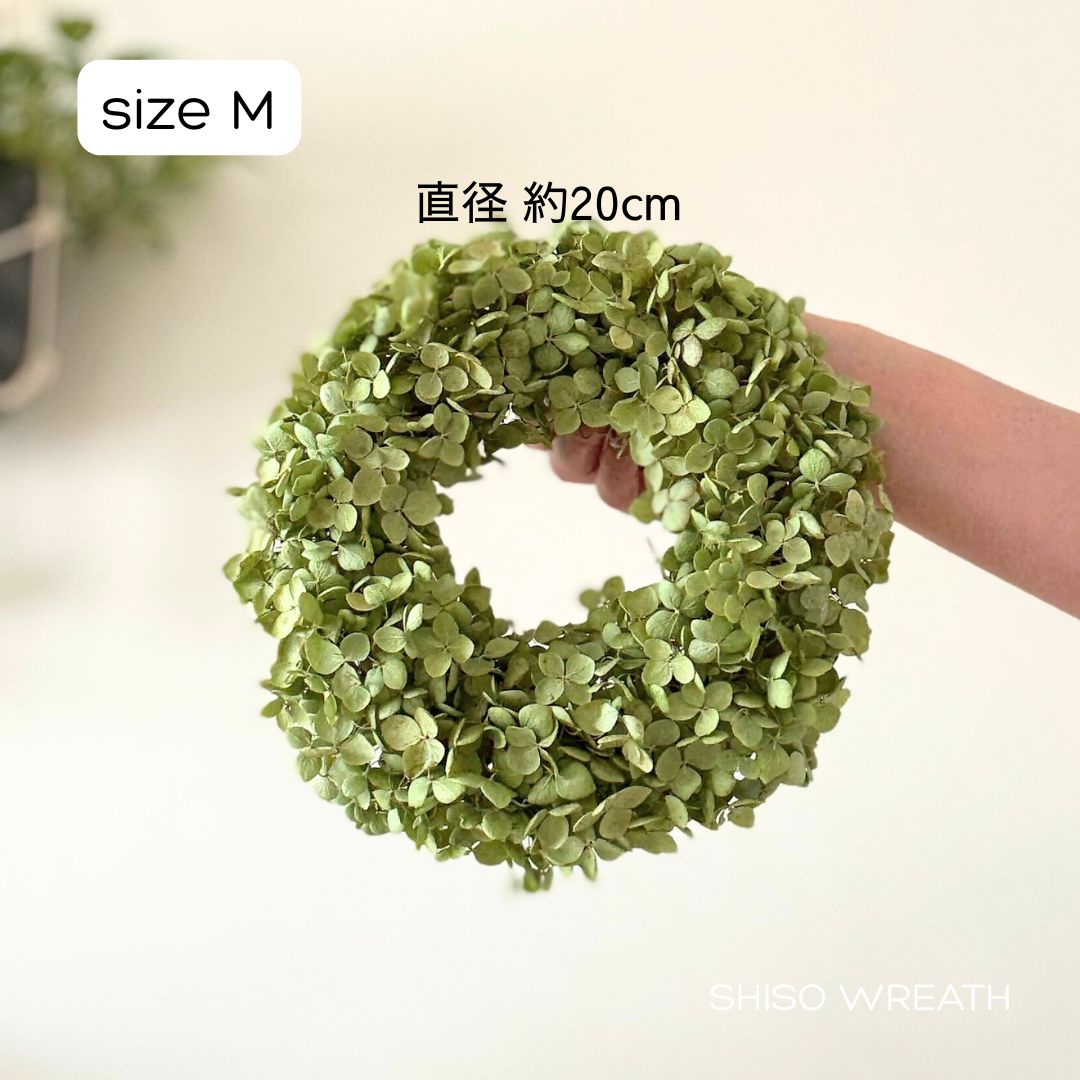 片品村アナベルのドライフラワーリース Mサイズ - メルカリ