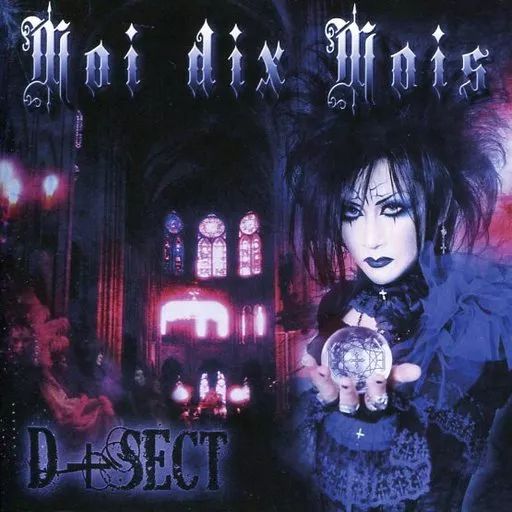 Moi dix Mois ⁄ D+SECT – 中古邦楽CD CD D＋SECT（CD） 貴重Moi 公式