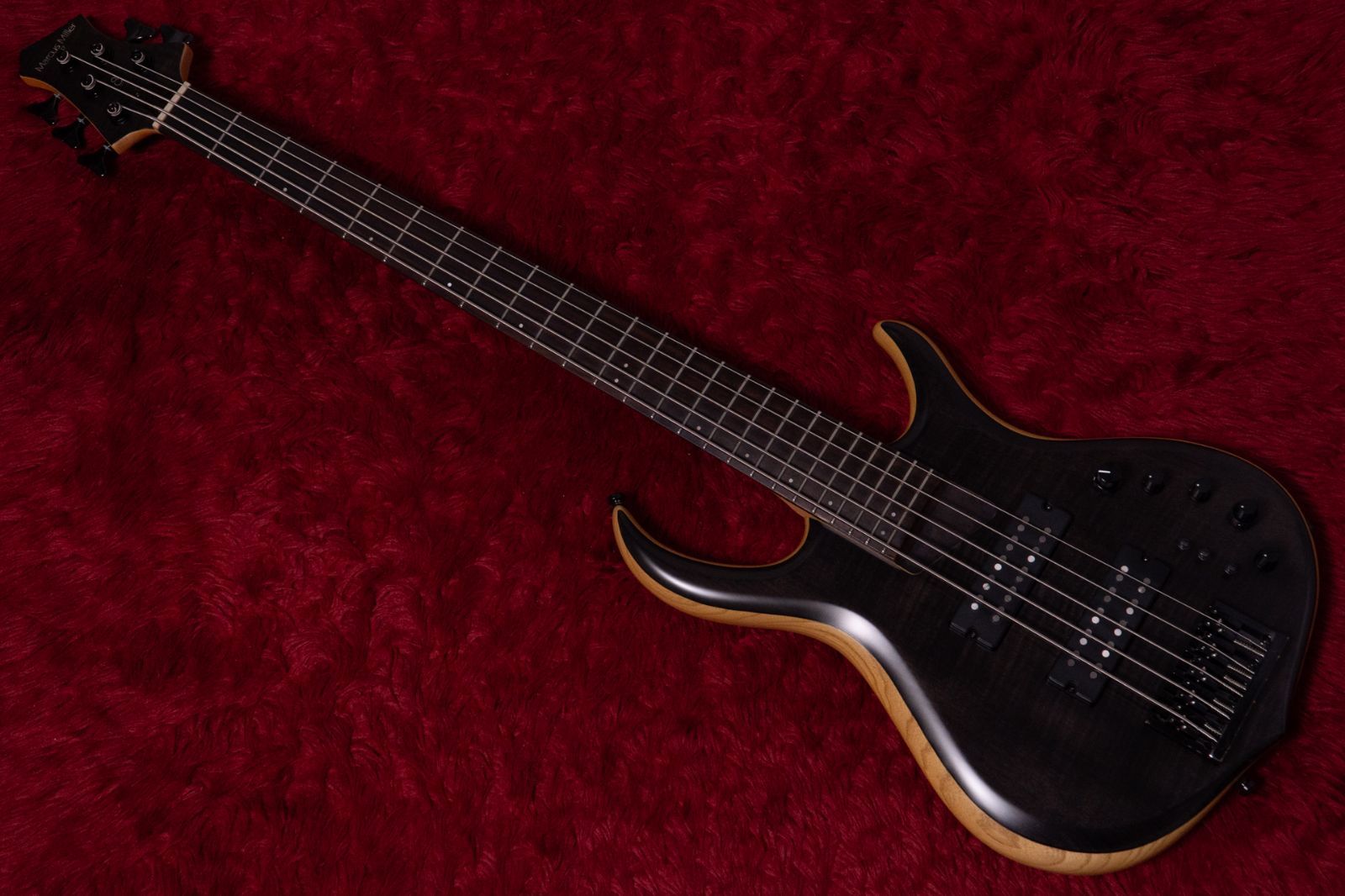 Sire | M 7 Ash 5 st TBKB 4.350 kg GIB横浜