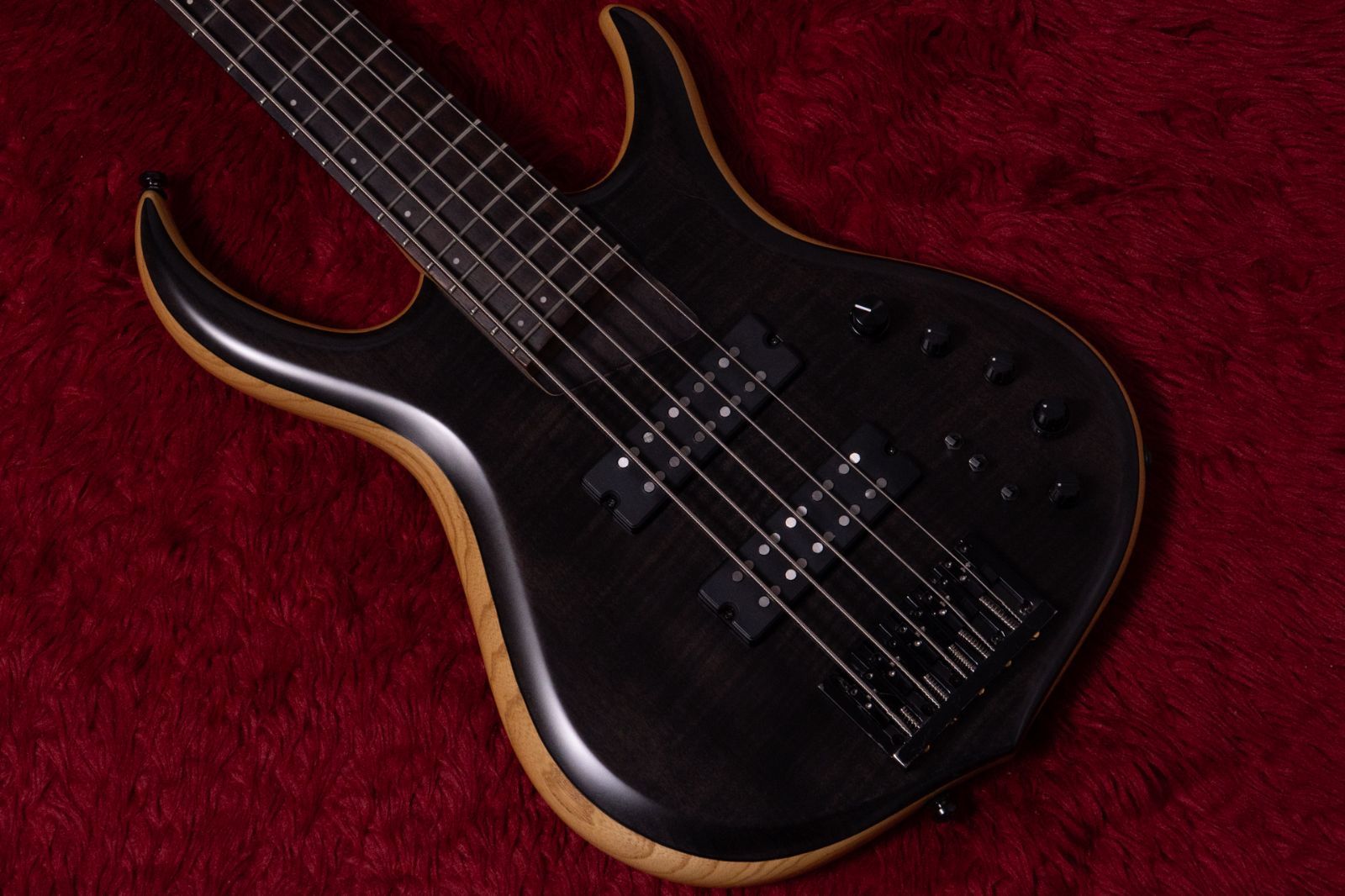 Sire | M 7 Ash 5 st TBKB 4.350 kg GIB横浜