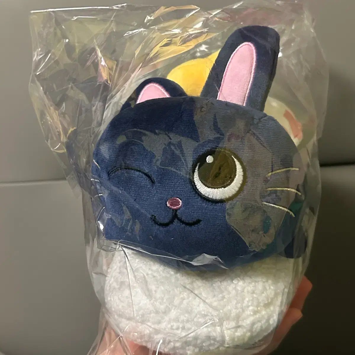 RIIZE（ライズ） ウォンビン(WONBIN) トゥーニャン（ニャン）ダック