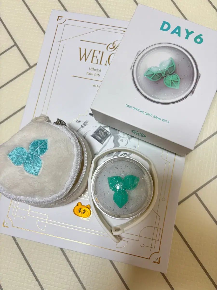 DAY 6 LIGHT BAND ペンライト ポーチ FOREVER YOUNG バンダナ スローガン 5期 グッズ