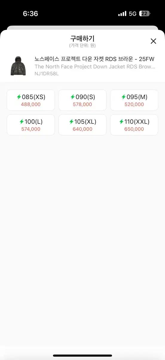 THE NORTH FACE ザノースフェイス プロジェクト RDS ダウン ジャケット ブラウン