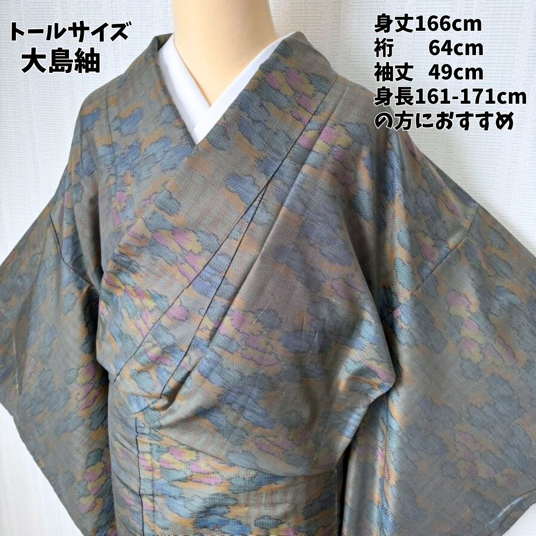 トールサイズ 表側美品 大島紬 正絹 雲柄 ダークトーン 身丈166cm 希少