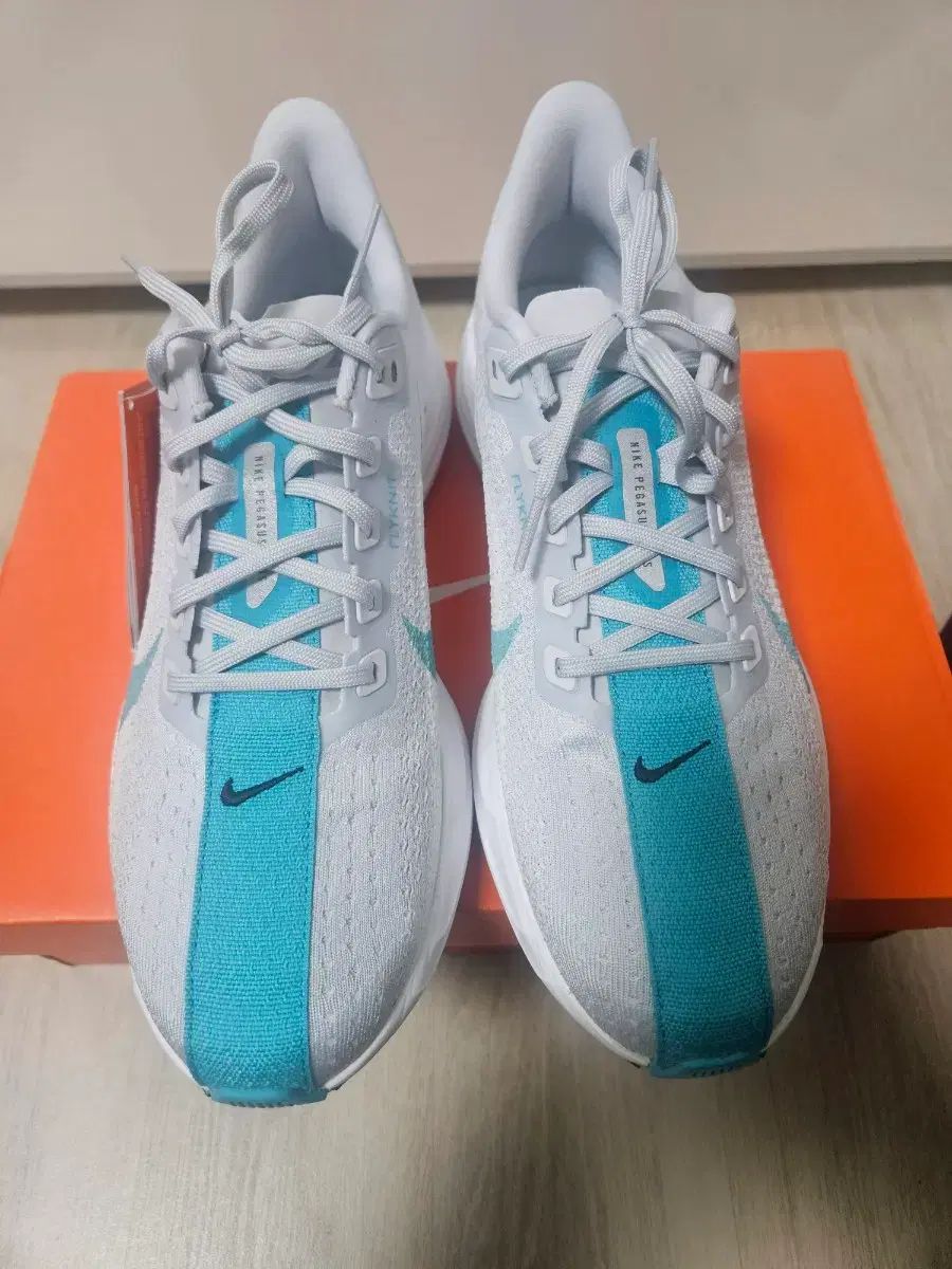 ナイキ ペガサス プラス ピュア プラチナ ランニングシューズ 280