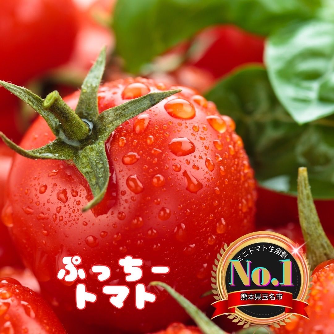 ミニトマト　9キロ　野菜　熊本　おやつ　弁当　おかず　ミネラル　リコピン ミニトマト 9キロ 野菜 熊本 おやつ 弁当 おかず ミネラル リコピン