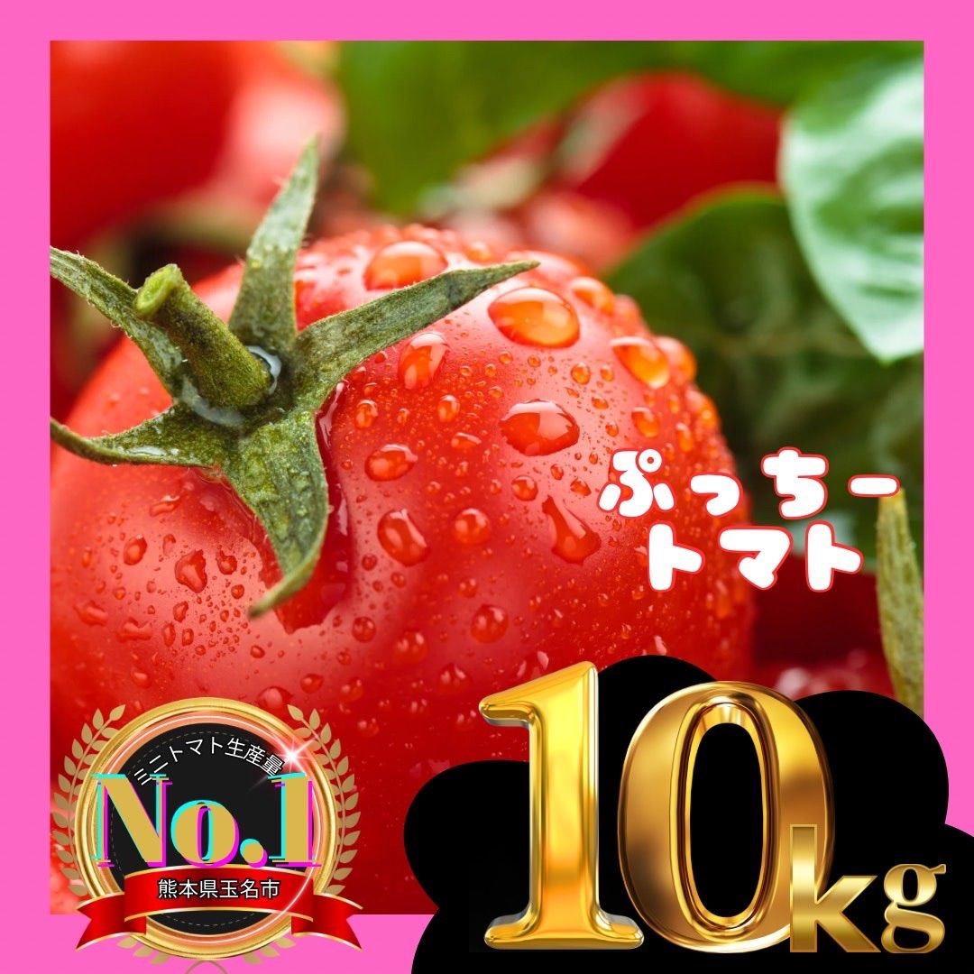 ミニトマト 10キロ 野菜 熊本産地直送 弁当 おかず トマト ミネラル