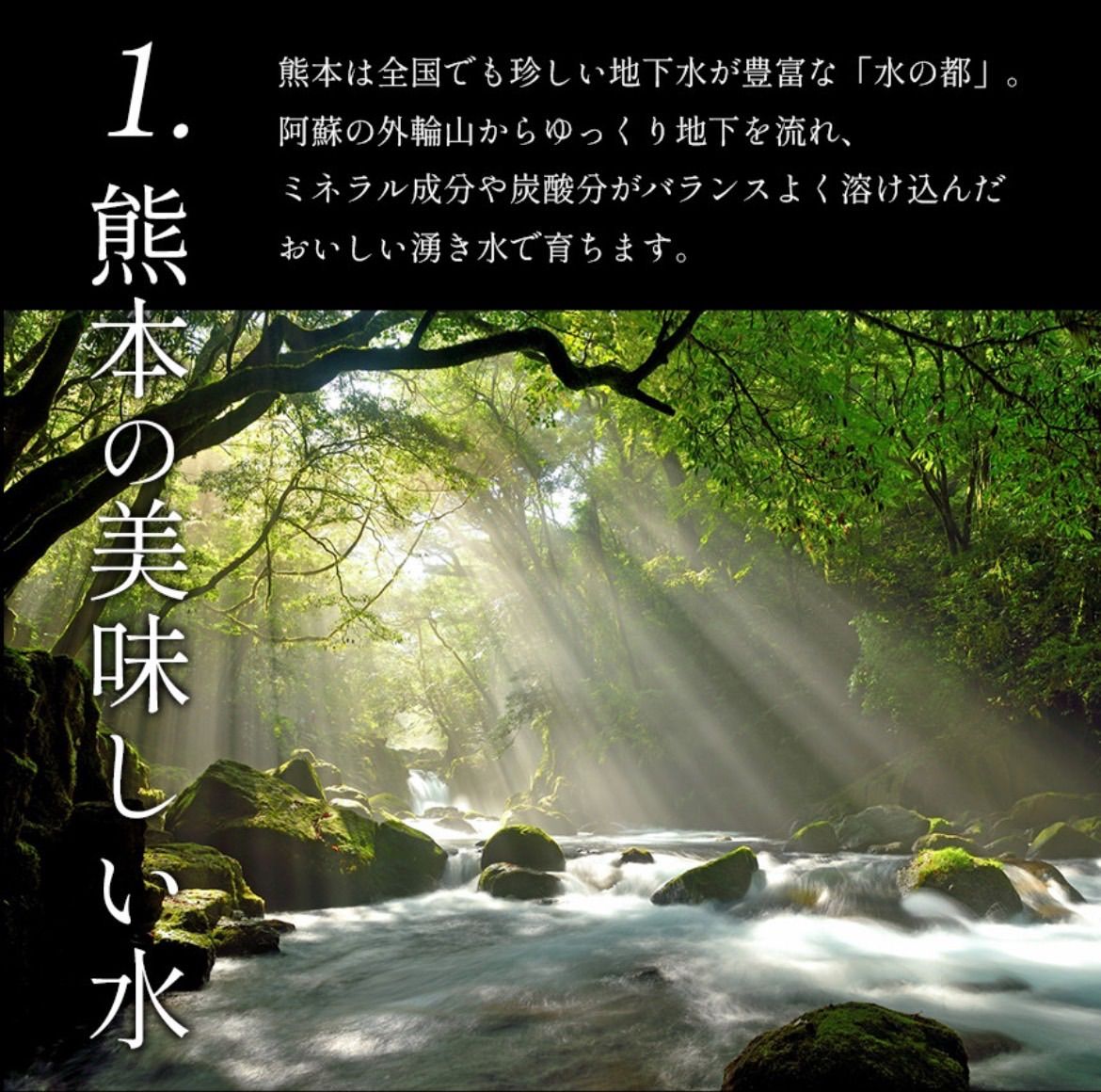 ミニトマト 10キロ 野菜 熊本産地直送 弁当 おかず トマト ミネラル
