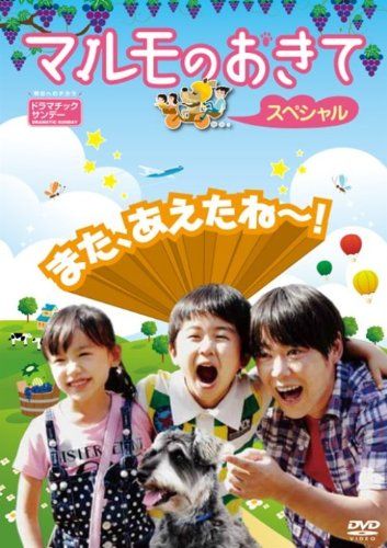 マルモのおきて スペシャル DVD 品