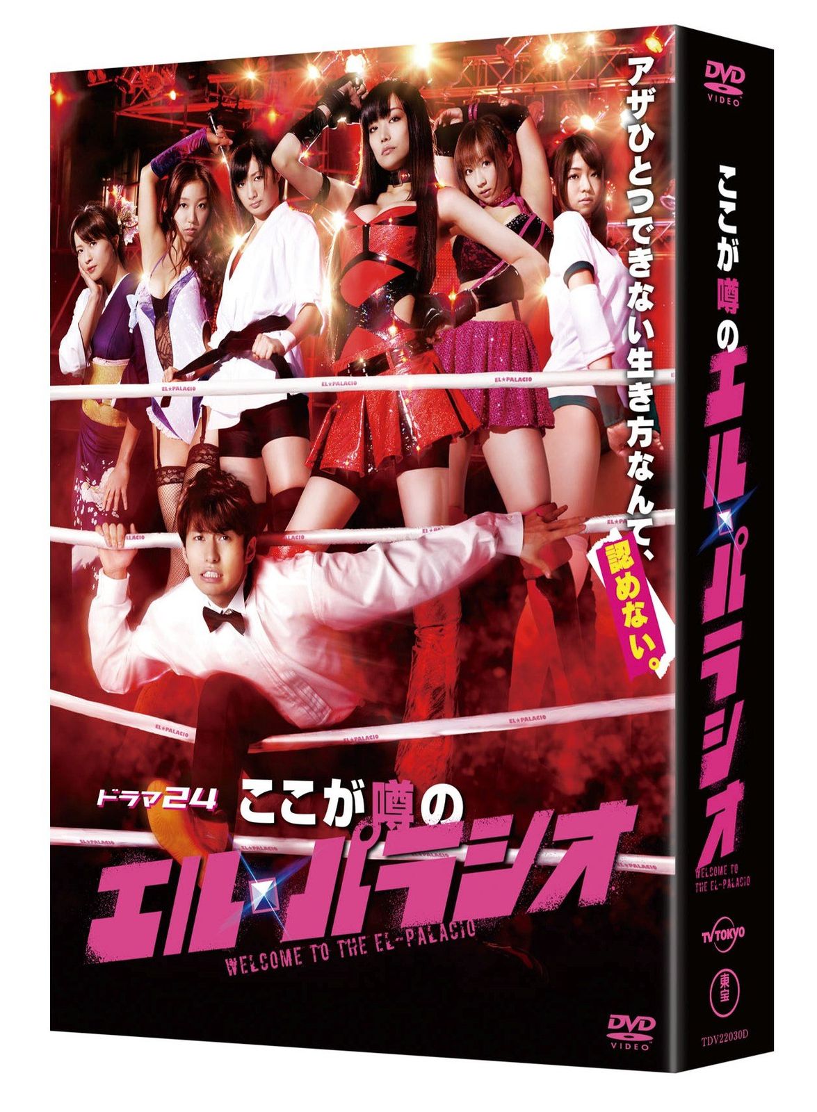 ここが噂のエル パラシオDVD BOX 組 品