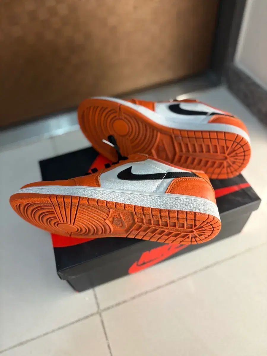 スターフィッシュ 255