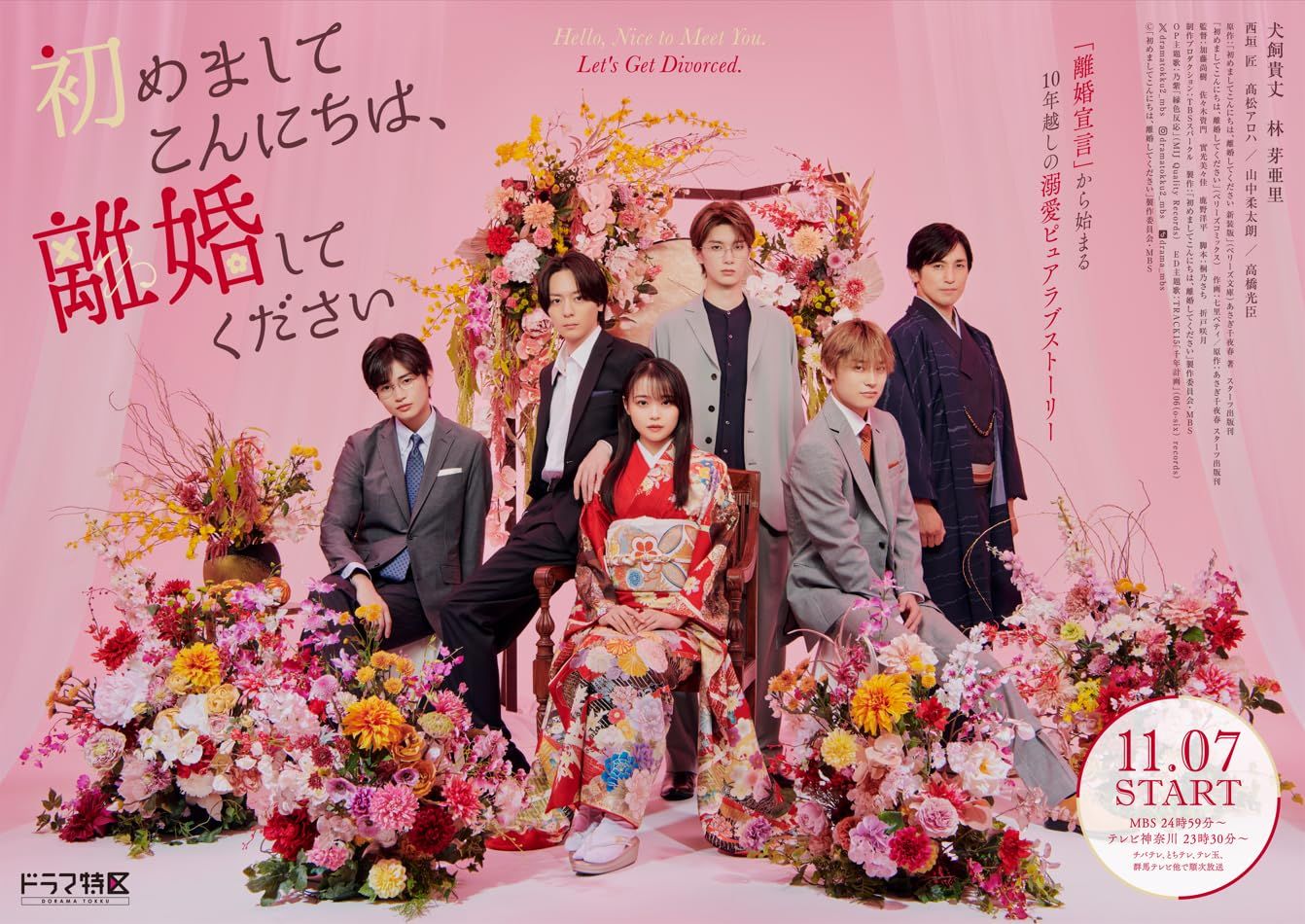 初めましてこんにちは 離婚してください DVD BOX 品