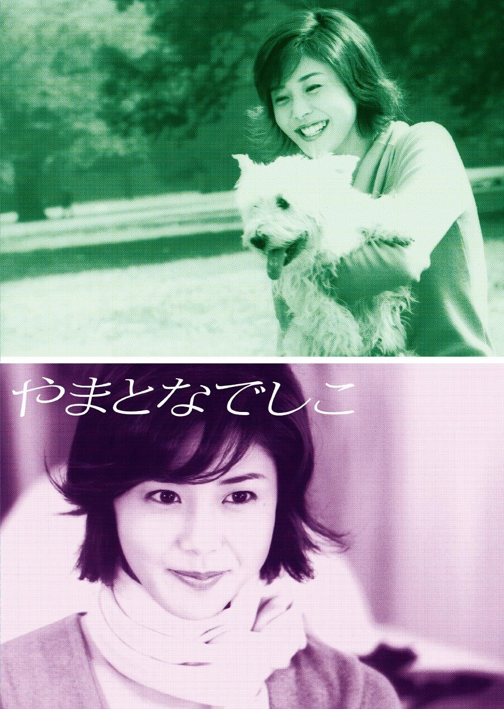 やまとなでしこ DVD-BOX DVD 品