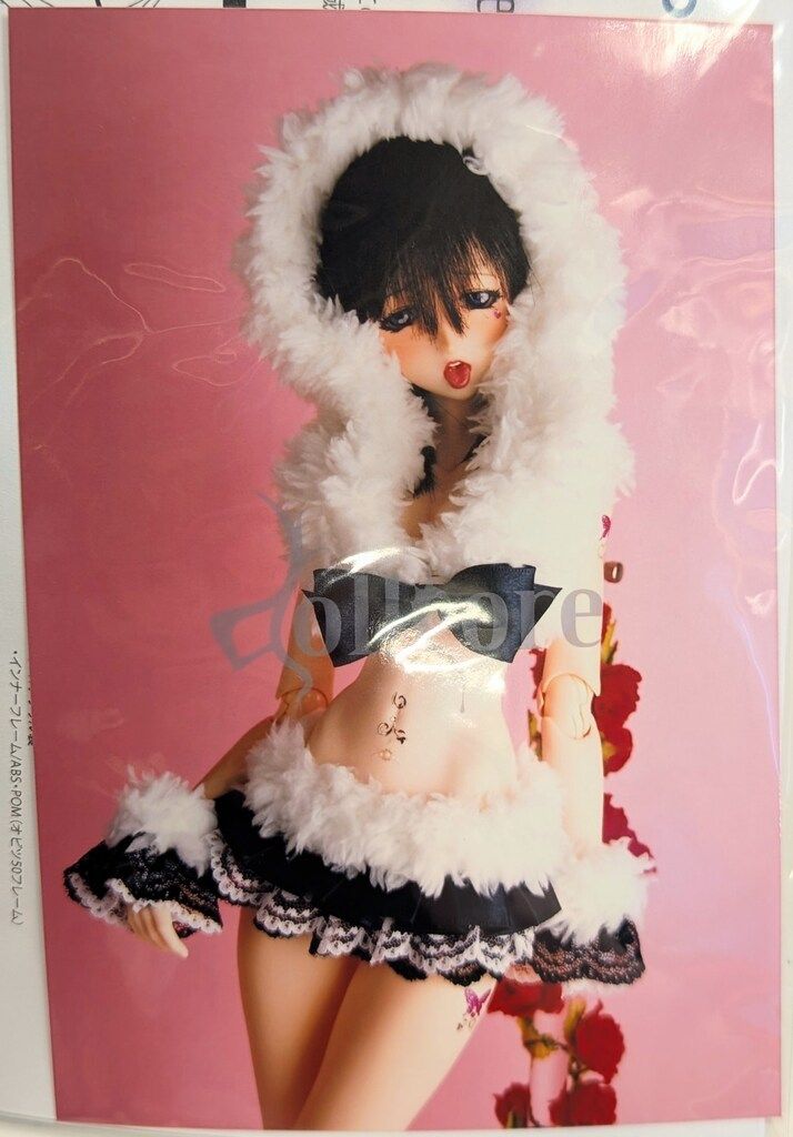 やまと|リアルアートプロジェク vmf 50 dollcore 伽琉羅 カルラ