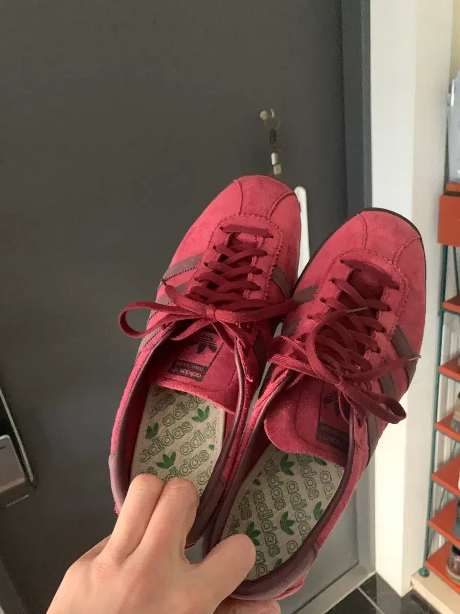 バーガンディ スニーカー