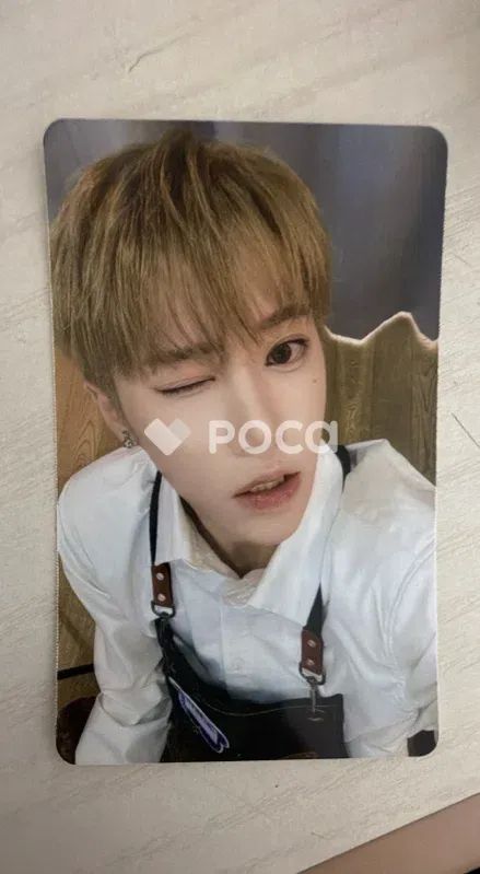 ALPHA DRIVE ONE アルノ 鴨鍋