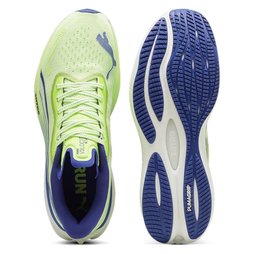 ヴェロシティ ニトロ 3_ _260 24年秋冬カラー フィジー アップル|ラピスラズリ 13 Free Size