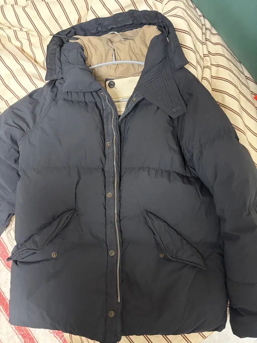 テンシー アーティック 50 サイズ