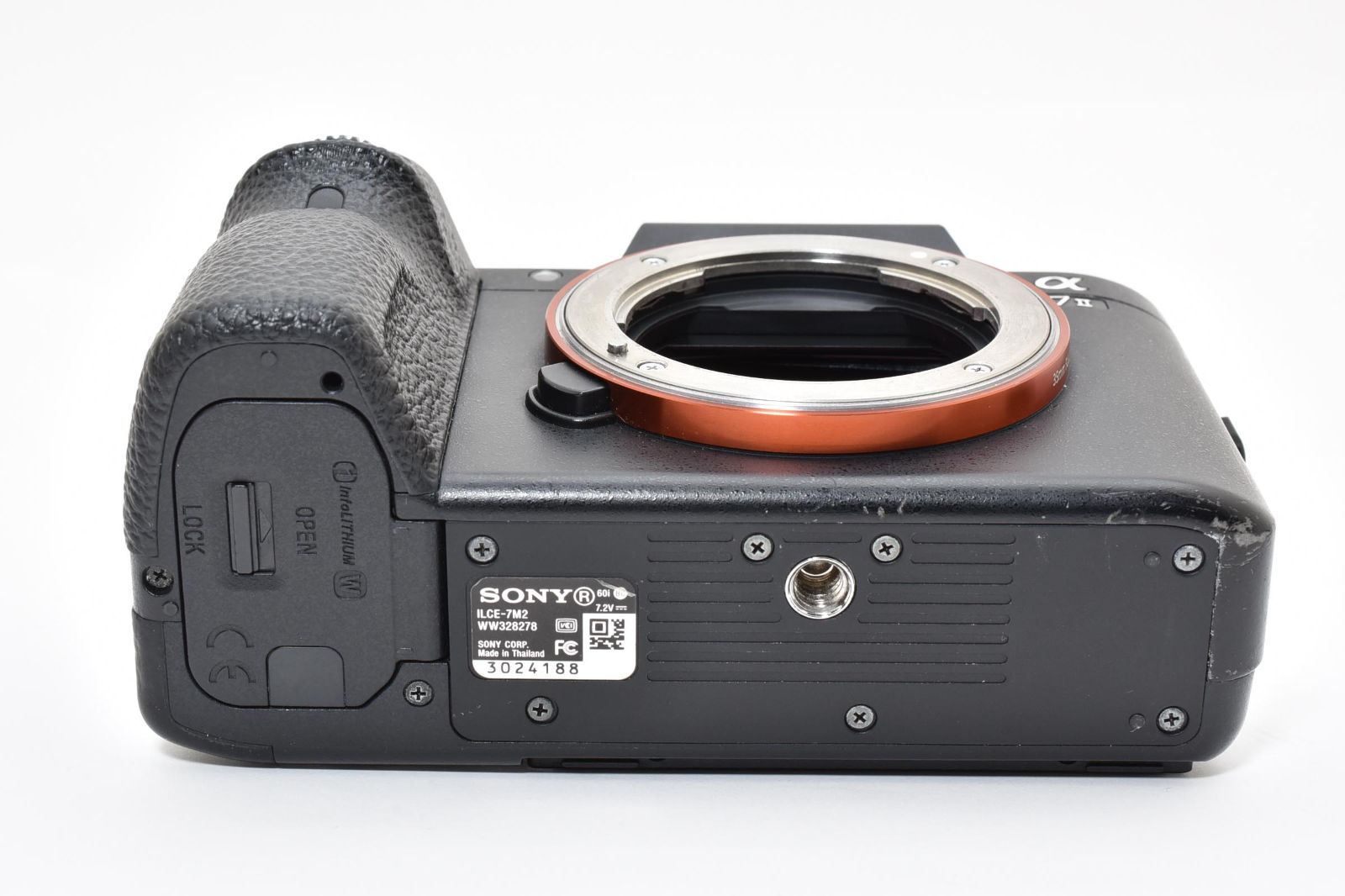 ボディ ショット数枚