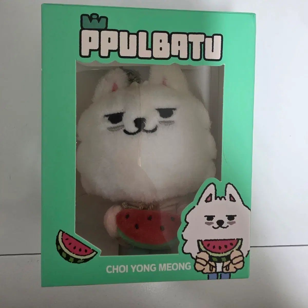 TXT TOMORROW X TOGETHER スビン CHOI SUBIN チェスビン スイカ サマー