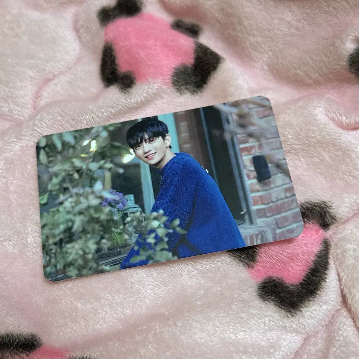 SEVENTEEN ジョシュア JOSHUA DIRECTOR S CUT 公開番組 サノク トレカ