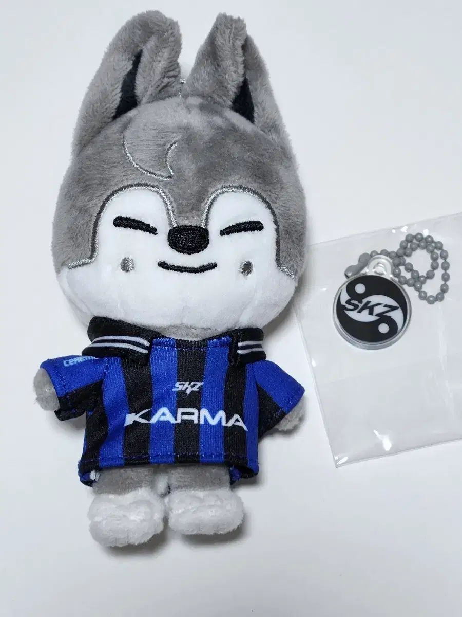 Stray Kids(ストレイキッズ・スキズ・SKZ) KARMA(カルマ) SKZOO