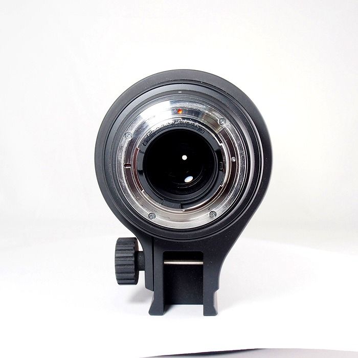 シグマ SIGMA APO 50-500|F 4.5-6.3 DG OS HSM ニコン