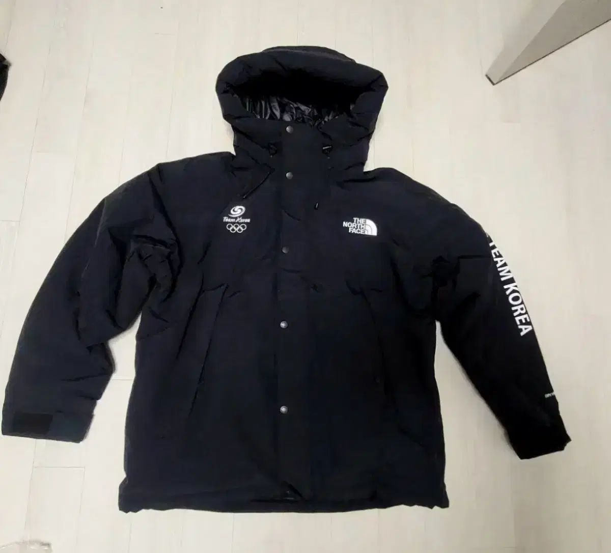 ザノースフェイス チーム コリア ダウン