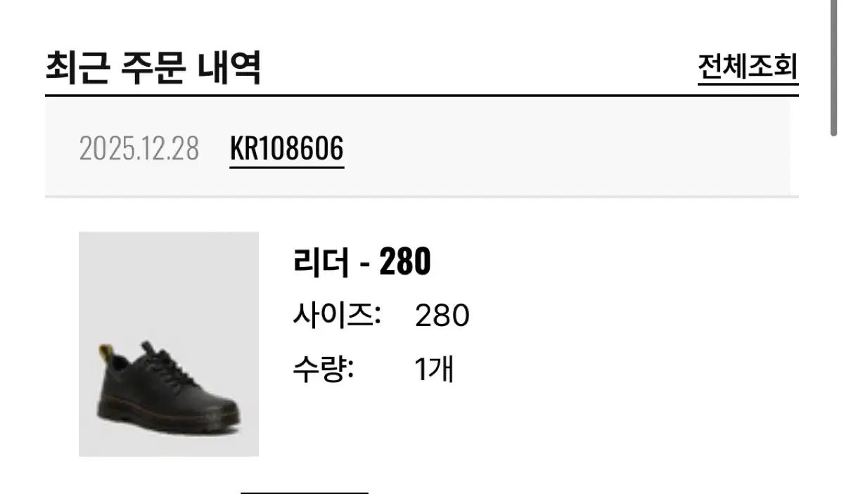 DR. MARTENS リーダー 280