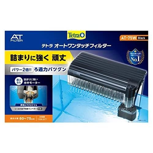 レア 茶道具 溜塗り桑名盆 丸盆 六代目 割引 山本翠松作【匿名配送】