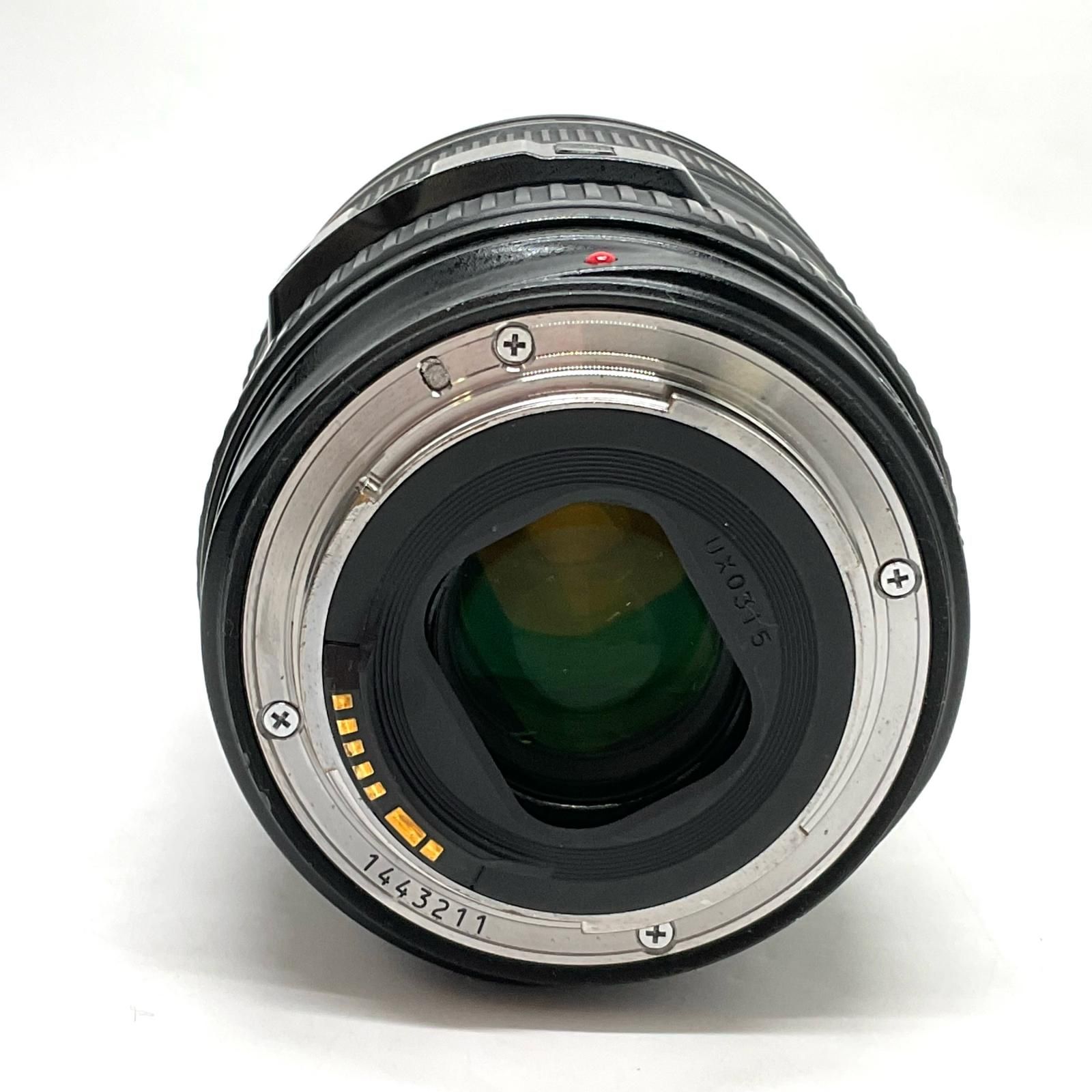 Canon EF 24-105 mm F 4 L IS USM 難有