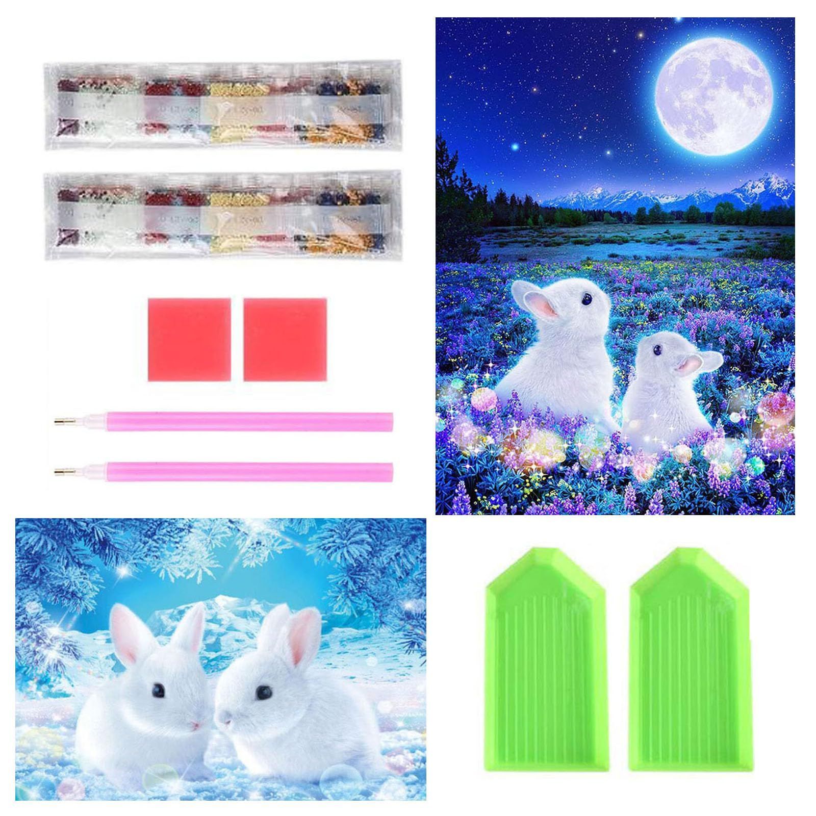 サムコス ダイヤモンドアート キット ダイヤモンドの絵画 2個セット