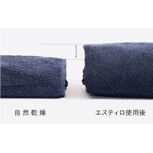 長期5年保証付】エスティロ(ESTILO) ILD-321UPB-JP シルバー