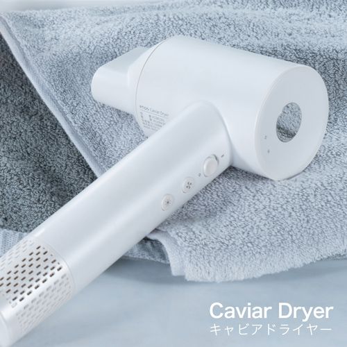 enas イーネーズ Caviar Dryer キャビアドライヤー 大風量 速乾 冷温循環 マイナスイオン