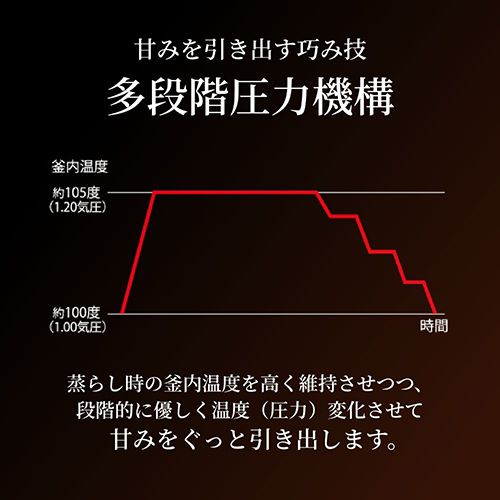 100-KG エボニーブラック