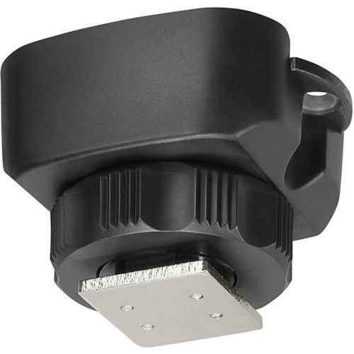 ショップ 【12月中セール】弦楽器と旋律楽器奏者の和声学 ヴァルター