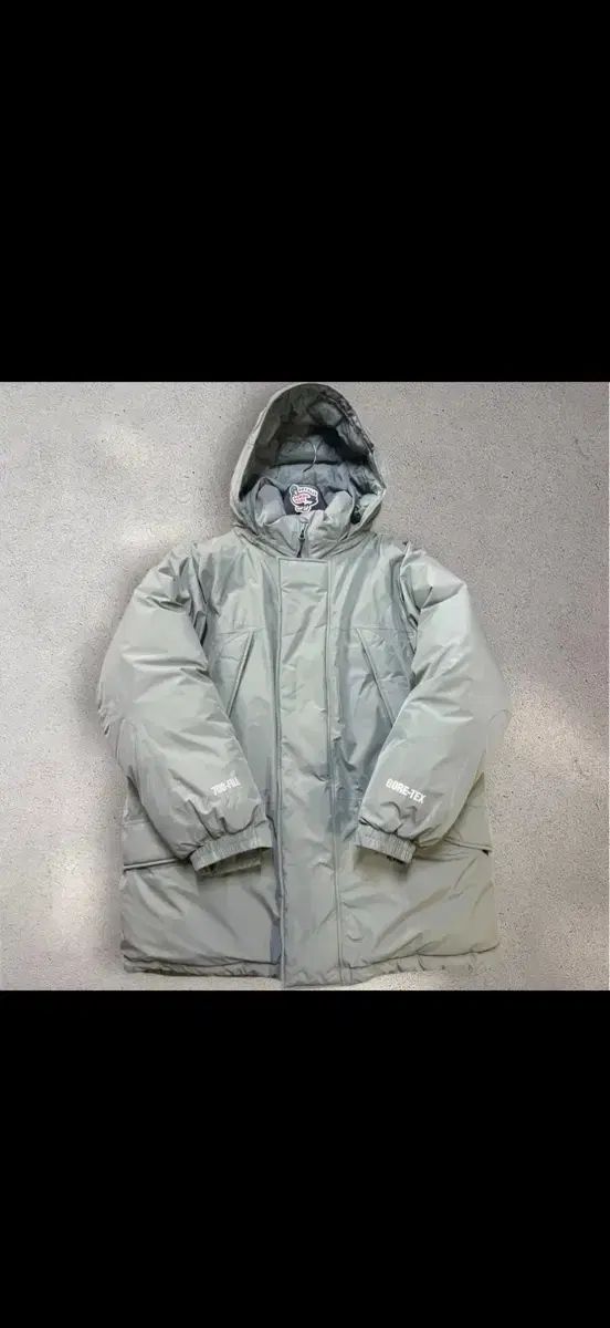 Supreme GORE-TEX 700フィル ダウン MONSTER パーカ M