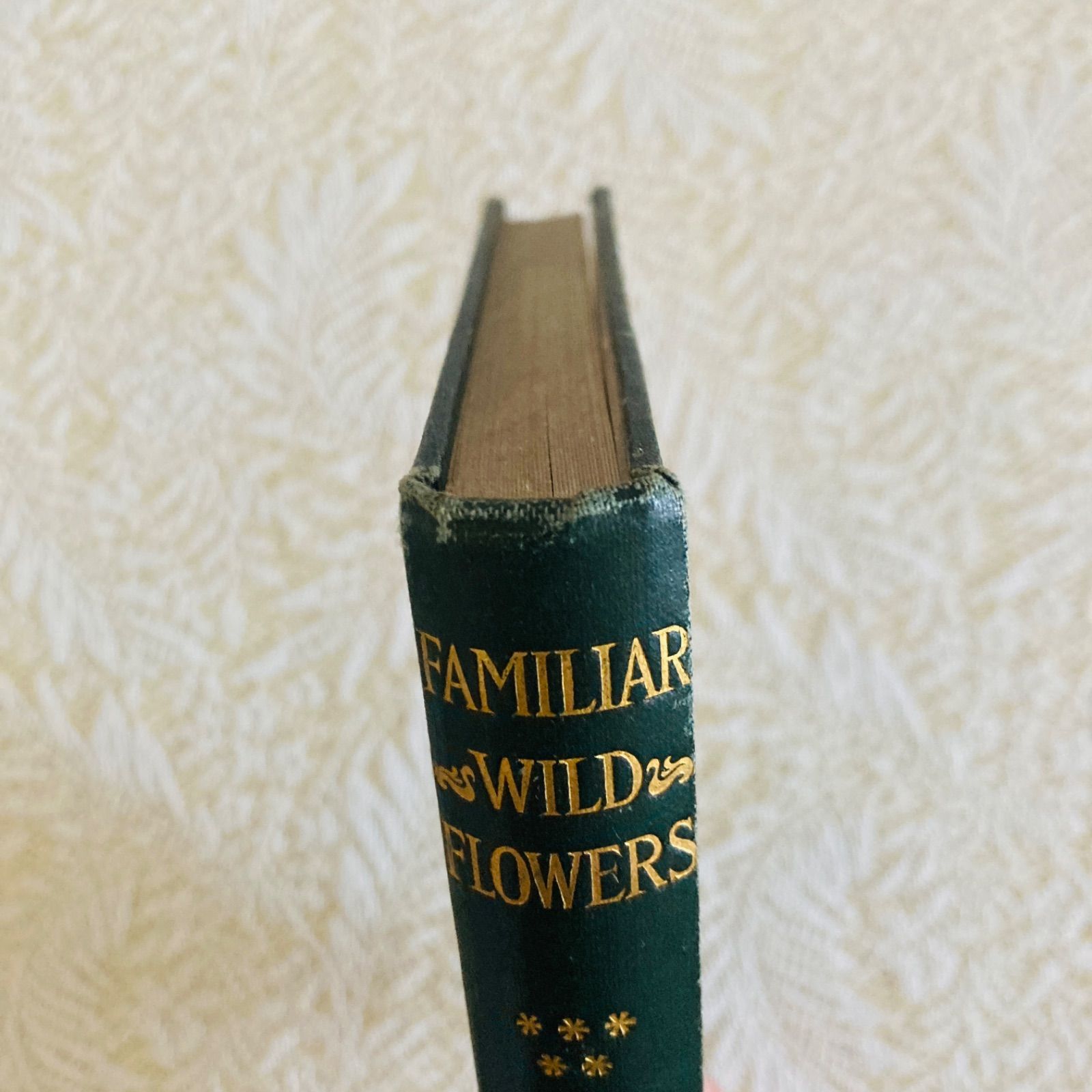 Familiar Wild Flowers 第5巻 イギリスのアンティーク植物図鑑