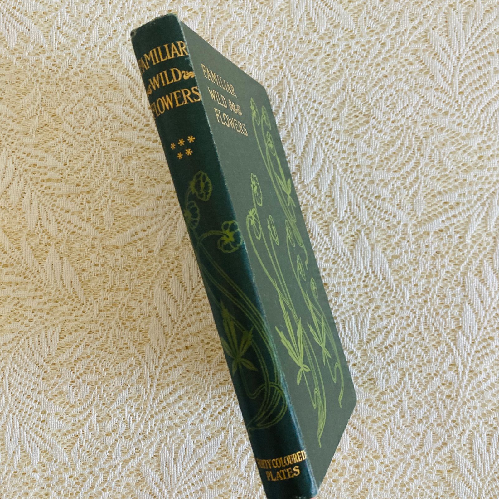 Familiar Wild Flowers 第5巻 イギリスのアンティーク植物図鑑