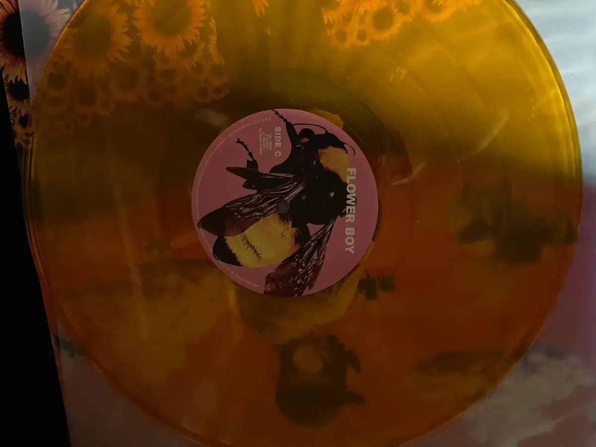 タイラー もっと クリエーター COLOR lp