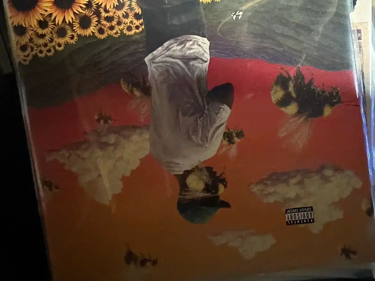 タイラー もっと クリエーター COLOR lp